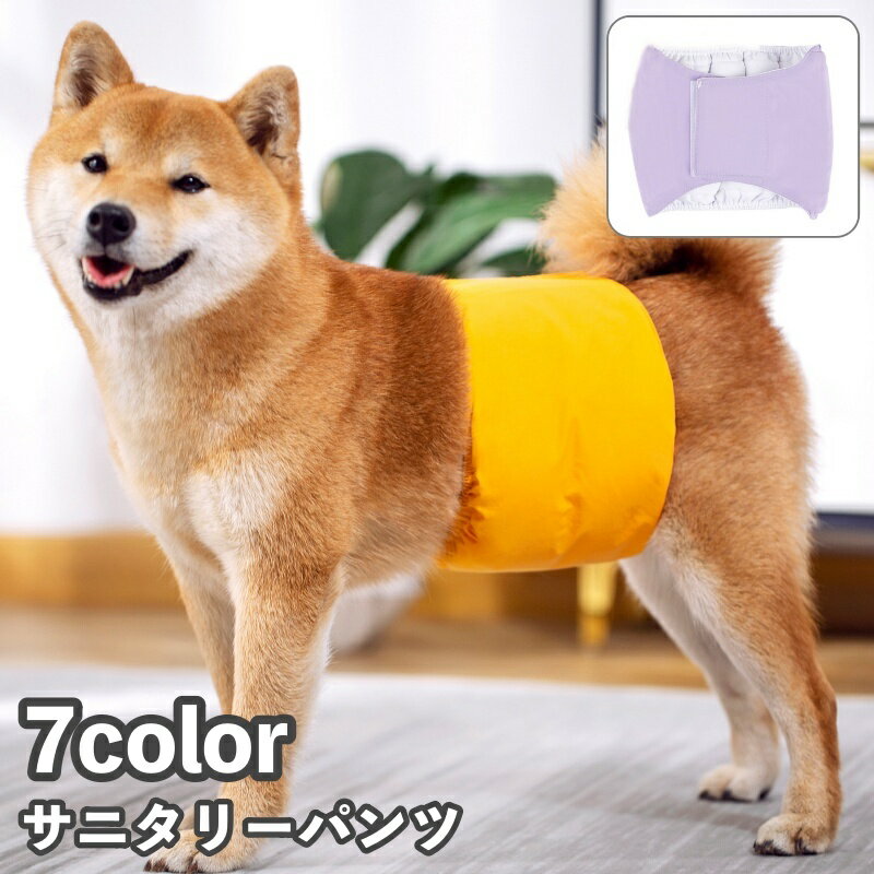 送料無料 ペット用サニタリーパンツ ショーツ マナーパンツ 犬 ドッグ 猫 キャット 吸水 マジックテープ 防水 無地 シンプル ペット用品 生理用品