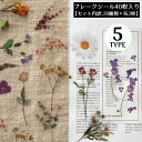 送料無料 フレークシール ステッカー 40枚セット コラージュ 花 植物 手帳デコ アルバム 日記 カレンダー プレゼント ギフト レトロ感