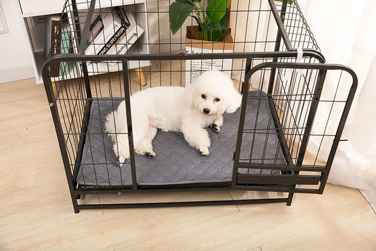 送料無料 ペットマット 犬用マット 猫用マット 犬用品 ペット用品 45×60cm 50×70cm 座布団 お昼寝 長方形 スクエア シンプル 汚れ防止 plusnao-10337183 Plus Nao サンプル画像3