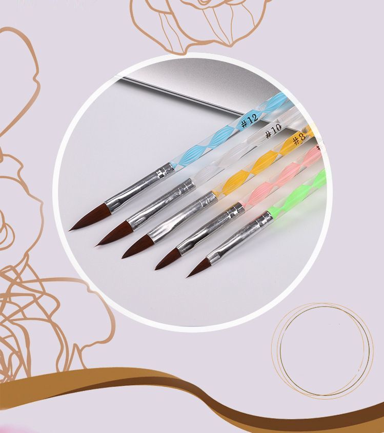 ����̵�� �ͥ��륢���ȥ֥饷 �ͥ���֥饷 5�ܥ��å� ������ͥ��� �ڥ���ȥ����� �ͥ���ѡ��� �֥饷 �饤�� ɮ �֥饷���å� ���襤��