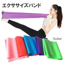 送料無料 エクササイズバンド トレーニングチューブ ストレッチ フィッ...(4)