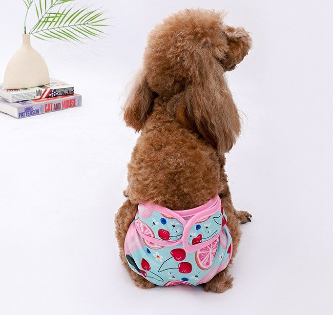 Plus Naoの送料無料 犬用サニタリーパンツ ペット用パンツ マナーパンツ 生理用ショーツ 犬 ドッグ おむつカバー 小型犬 中型犬 面ファスナー 吸水性 総柄 さくらんぼ スイカ フルーツ しましま 着せやすい 着脱簡単 かわいい キュート ガーリー おしゃれ 青 紫 ピンク 赤｜アングル2