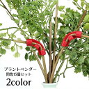 送料無料 プラントベンダー クリップ 15個セット 園芸用品 ガーデニング資材 植物の茎を曲げる サポートクリップ トレーニングクリップ 成長操作 植物 低木 野菜 枝クリップ 便利グッズ
