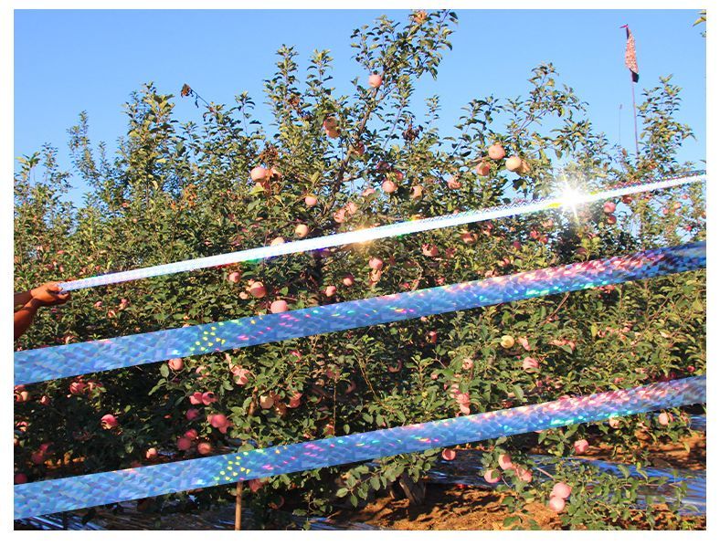 ����̵�� ��Ļ�ơ��� Ļ���к� ��Ļ �ۥ������ơ��� ξ��ȿ�ͥơ��� ���饹 ���餹 ȷ �ϥ� ȿ�� �ߤ겼�������� �� �����ڱ� ����ȿ�� �٥��� �Х륳�ˡ�