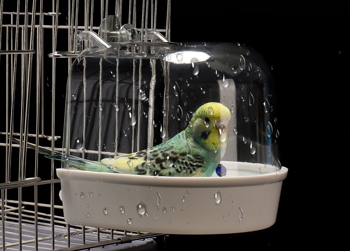 ����̵�� �С��ɥХ� ����ӥ����� ��Ļ Ļ ���� ʸĻ �ڥåȥ��å� �ڥå����� ���饰�å� Ļ���� ���ƴ� ����Ϥ ����� ���դ��� ����դ���ñ ���� ����ѥ��� ���ꥢ������ �椬������