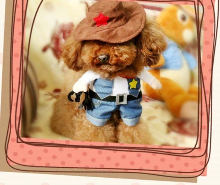 ����̵�� �ڥå��ѥ������塼�� �����ץ��� �� ǭ ��ǭ���� �ڥå� �����ץ� ľΩ �ʡ��� �����ܡ��� ���� ���� ���襤�� ���� ������ �ѡ��ƥ���