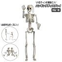 送料無料 ハロウィン用品 室内装飾 ガイコツ 骸骨 単品 1個 スケルトン 骨格 がい骨 ドクロ 吊り下げ 吊り飾り ホラー リアル 怖い パーティーグッズ ポージング デコレーション ディスプレイ イベント 店内装飾 ハロウィーン