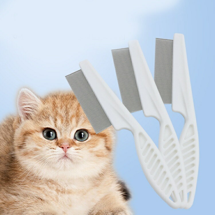 ����̵�� �ڥå��ѥ����� �ڥåȥ֥饷 �Υ߼��֥饷 �� ǭ ���롼�ߥ� �� ���� �������� ���ߥ�˥�������� �Υ�ͽ�� ���ӥ��� ��Ĥ� �Ӷ�ͽ�� �ڥå����� ���� �ͥ� ���� ��ǭ