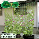 送料無料 園芸ネット つる栽培ネット 幅1.8m×長さ3.6m 10cm角目 野菜誘引 つる性植物 キュウリ ゴーヤ 家庭菜園 緑のカーテン