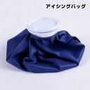 送料無料 アイシングバッグ 氷のう 氷嚢 アイスバッグ アイシングパック ひょうのう 冷却 冷やす 熱中 暑さ対策 クールダウン ケガ 発熱 スポーツ 運動 ア...