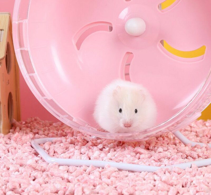 送料無料 ハムスター用ホイール 回し車 小動物用品 小動物 ジョイント 外付け ケー...