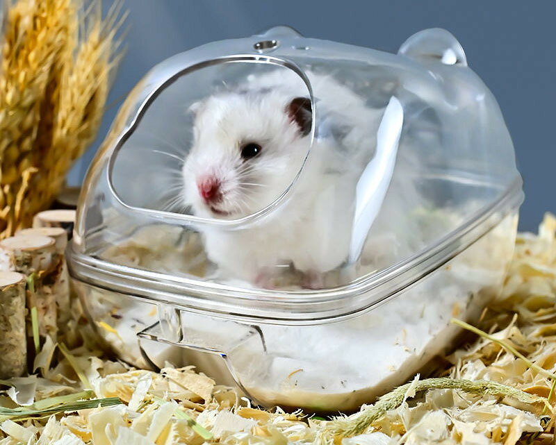 送料無料 小動物用トイレ ハムスタートイレ 単品 1個 ペットハウス バスタブ お風...
