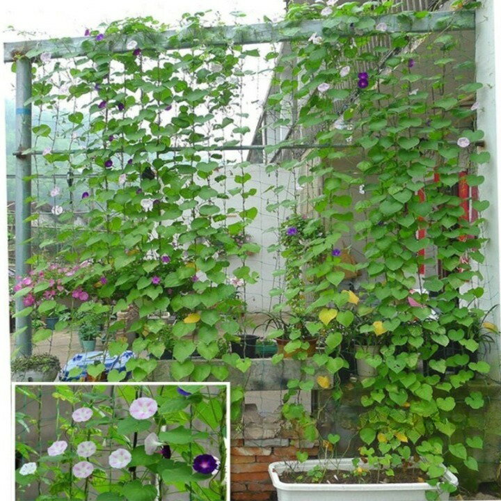 ����̵�� ��ݥͥå� 1.8m��1.8m �ޥ���ͥå� ��ǽ�ͥå� ������� �Ĥ�ͥå� ����ѥͥå� ���� ����ͥå� �ͥå� �Ĥ� ���꡼�󥫡��ƥ� ���꡼��ͥå� ī�� �������� �� �Ĥ봬�� ���