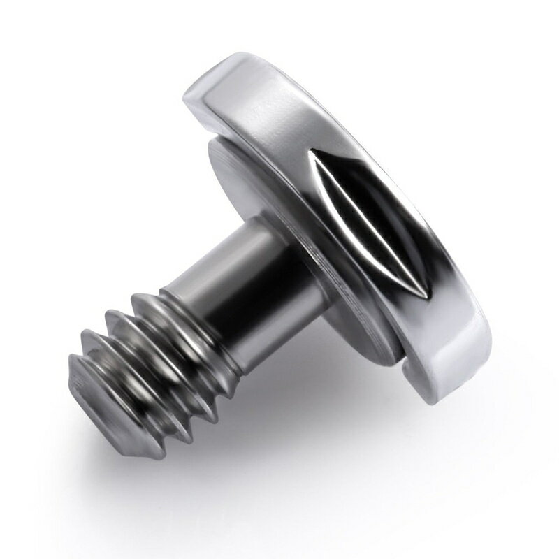 ����̵�� ��󥰥�����塼 2�ĥ��å� ����饢�������꡼ C��� ���ӥͥ� �����ͥ� 1��4������ͥ����б� �����ץ��� ���ȥ�å� ����դ��ѡ��� ����� �ǥ����륫��� ����