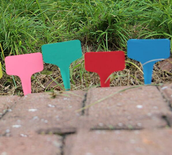 ����̵�� ����ѥ�٥� 10�祻�å� T�� �ե������� �����ǥ˥� ���� ����ȭ �ץ�󥿡� ���� �� ���� �ż� ��ʪ ���� ����ե� ̵�� ����ץ� �ۥ磻�� �֥�å� �ԥ� �� ��