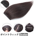 送料無料 ポイントウィッグ 部分ウィッグ 部分かつら つけ毛 前髪 横髪 サイド トップ レディース 女性 ボリュームアップ ヘアピン 取り付け簡単 ヘアアクセサリー イメージチェンジ イメチェン 黒 茶色