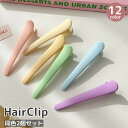 送料無料 ヘアクリップ くちばしクリップ ヘアピン 2個セット レディース 女性用 ヘアアクセサリー 無地 マットカラー シンプル おしゃれ 髪留め 髪飾り カラバリ豊富