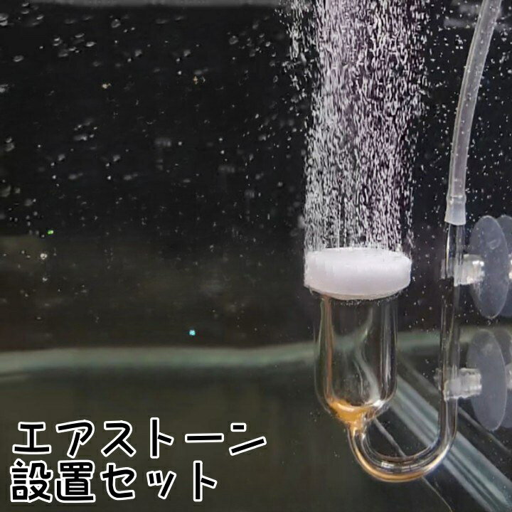 送料無料 エアストーン 細かい泡 バブル バブルストーン エアーストーン セット 丸 細かい 吸盤 酸素 エアレーション 静音 魚 水槽 熱帯魚 さかな 空気石