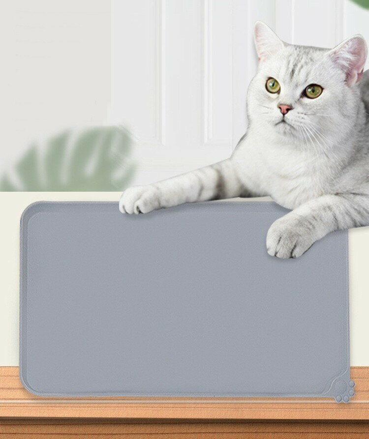 ����̵�� �ڥå��ѥ������ޥå� �������ޥå� �ڥå����� ���ꥳ�� ���å��󻨲� ̵�� ����ץ� ���� ���ߤ� ������ ���� ǭ ���� �ͤ� ���٤��ܤ��к� ������� ���襤��