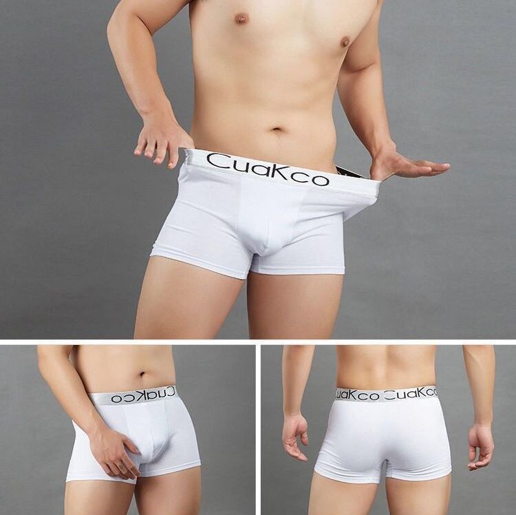 送料無料 ボクサーパンツ メンズ ボックスショ...の紹介画像3