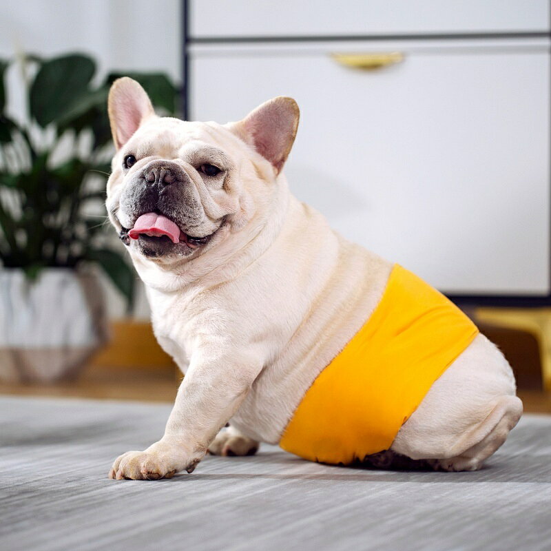 送料無料 マナーベルト マナーバンド ペット用 犬 ドッグ 猫 キャット 吸水 面ファスナー シンプル ペット用品 生理用品 plusnao-10362301 Plus Nao サンプル画像2