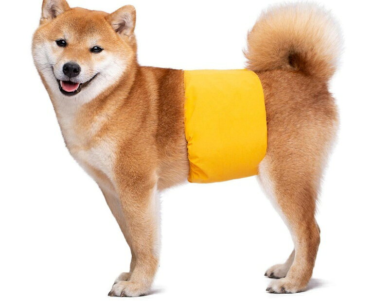 送料無料 マナーベルト マナーバンド ペット用 犬 ドッグ 猫 キャット 吸水 面ファスナー シンプル ペット用品 生理用品 plusnao-10362301 Plus Nao サンプル画像3