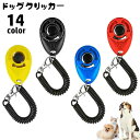 送料無料 クリッカー 犬用 しつけ用品 ペット用品 スプリングゴム付き ナスカン 訓練 トレーニング 無駄吠え対策 道具 コミュニケーション コンパクト 持ち歩...