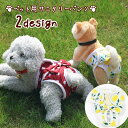 送料無料 犬用サニタリーパンツ