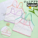 送料無料 ジュニアブラ ハーフトップブラ ブラジャー ジュニア キッズ 女の子 インナー 下着 子供用 ファーストブラ ロゴ シンプル 可愛い おしゃれ 女子 ...