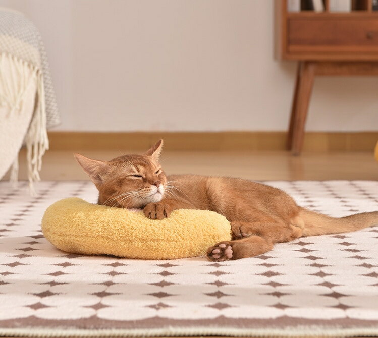 ����̵�� �ڥå��ѥ��å���� ǭ �� �ͤ� ���� �ڥå� �� �ޤ��� �ԥ��� U���� �������� ���襤�� �İ��� ����ץ� �����Τ� �ܾ褻 ������ ���뿲 �ٷ� �������� �����꡼�� ���� ͮ����