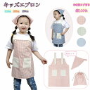 送料無料 エプロン 三角巾付き 巾着袋 3点セット キッズ 子供エプロン チェック柄 小学生 調理実習 女の子 男の子 こども 子ども