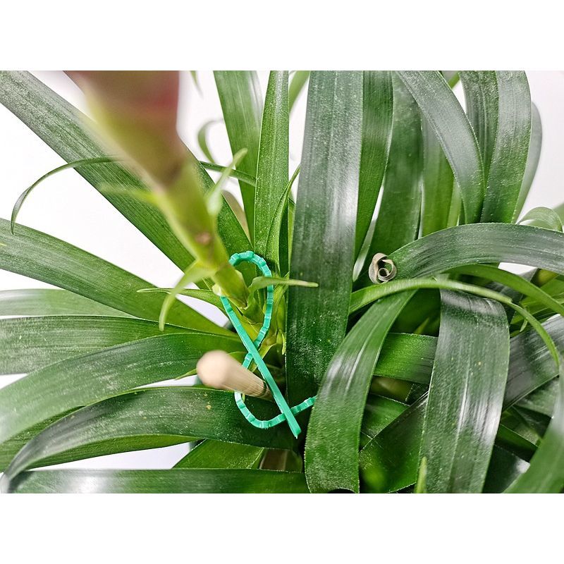 ����̵�� ����ѷ�«�Х�� ��«�Х�� ������� �����ǥ˥����� �����ǥ����� �����֥��«�Х�� Ͷ���Х�� Ĺ�� ���� �ѵ� �����ڱ� ������� ���꡼��