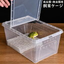 送料無料 飼育ケース プラスチックケース プラケース 両生類 爬虫類 昆虫 小動物用 飼育容器 カエル トカゲ カメ 小型 給餌箱 隔離ボックス 透明 通気性 ...