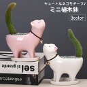 送料無料 植木鉢 フラワーポット 生活雑貨 ガーデニング ネコモチーフ 猫 受け皿付き ミニサイズ 卓上サイズ 手のひらサイズ 多肉植物 サボテン 観葉植物 無...