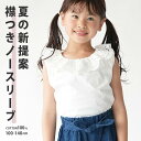 送料無料 在庫処分【SALE】 ブラウス ノースリーブ トレンド 襟レース 丸襟 ビッグ衿 入学式 卒業式 発表会 お嬢様コーデ 子供服 綿100% コットン ...