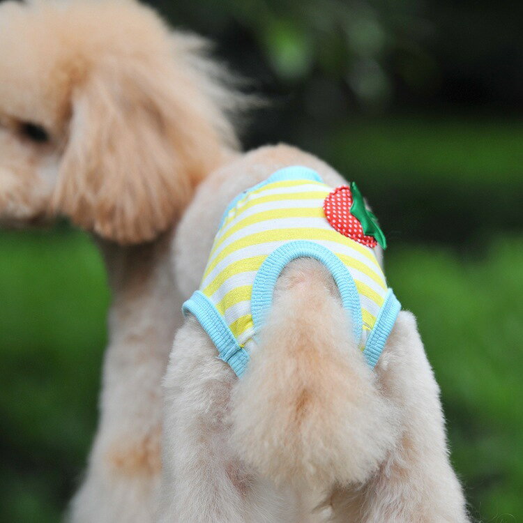 Plus Naoの送料無料 犬用 サニタリーパンツ サニタリーショーツ マナーパンツ ペット用 ヒートショーツ ヒートパンツ おむつカバー ヒコヨ チェリー かわいい｜アングル2