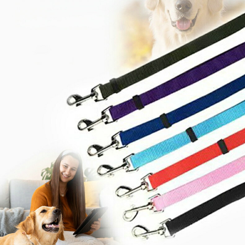 ����̵�� �ڥå��ѥ����ȥ٥�� ���� ǭ�� ����ѥ٥�� ���ѥ꡼�� ���ӽФ��ɻ� �إåɥ쥹�� ̵�� ñ�� ���� �ͥ� ι�� ���Ф��� ���� �ɥ饤������ �ڥåȥ��å�