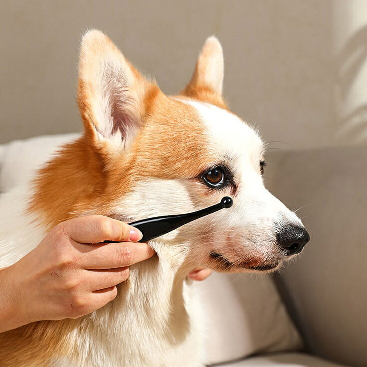 送料無料 ペット用 アイクリーナー ミニブラシ 猫用 犬用 目元ケア 目やに取り 汚...