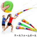 送料無料 テールフォームボール テイルボール ソフトテールボール トレーニングボール トレーニング キャッチボール やわらかい 運動 子供 感覚トレーニング ス...