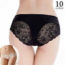 送料無料 ヒップハンガーショーツ レディース 女性用下着 インナー パンツ パンティー シームレス バックレース 無地 シンプル おしゃれ
