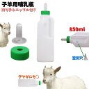 送料無料 子羊用哺乳瓶 哺乳器 850ml ミルクボトル 畜産用品 酪農 農業用 子羊 子ヤギ 乳首付き 持ち手付き ネジ式キャップ 給餌器 給水器 通気口 持...