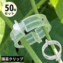 送料無料 園芸クリップ 誘引クリップ 50個 園芸用 結束 バンド 支柱 つる 茎 接木 ワンタッチ 家庭菜園 ガーデニング 植物サポート