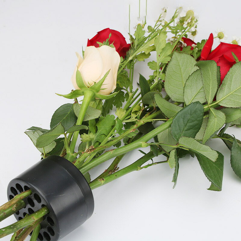 ����̵�� �ַԥۥ���� ������ �ִ� ������ ��ƻ ��� �ե�����󥸥��� ��« �֡����ۥ���� ���ƥ�ۥ���� ��ñ