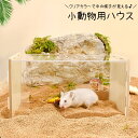送料無料 小動物用ハウス ペット用品 おうち お家 寝床 ハムスターハウス 小屋 ハムスター ネズミ チンチラ ペットハウス クリアカラー 透明 ペットグッズ おうち型 中が見える スクエア 四角 かわいい ナチュラル おしゃれ 茶 木目