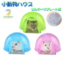 送料無料 小動物ハウス ペット用品 ハムスターハウス お家 ベット 寝床 隠れ家 暑さ対策 熱中症対策 ひんやり クール プレート クリアカラー