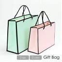 送料無料 ギフト袋 紙袋 ギフトバッグ 手提げ袋 ショッピングバッグ ラッピング用品 包装用品 バイカラー グリーン ピンク おしゃれ シンプル