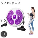 送料無料 ツイストボード 足つぼ 突起付き 体幹 バランス トレーニング ダイエット 器具 運動 ねじり 回転 腹筋 ウエスト お腹 腰回り エクササイズ シェ...