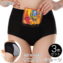 送料無料 サニタリーショーツ 3枚セット 生理用パンツ ポケット付き カイロ入れ 大きいサイズ ハイウエスト フルバック お腹すっぽり お尻しっぽり 温活 ショーツセット パンツ パンティ ショーツ インナー レディース 女性下着 婦人下着 シンプル 無地