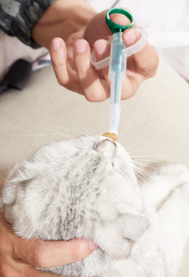 ����̵�� �ڥå��������� �ڥå����� �� ǭ �ڥå� �� ���� ���ݥ��� ��� ������� �� �� �ߥ륯 �֤���� �и� �ե������� ����� �Ȥ��䤹��