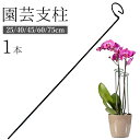 送料無料 園芸支柱 植木鉢 観葉植物 花 フラワー 誘引 サポート 支え 固定 転倒 予防 防止 簡単 設置 25cm 40cm 45cm 60cm 75cm 金属製 ガーデニング用品